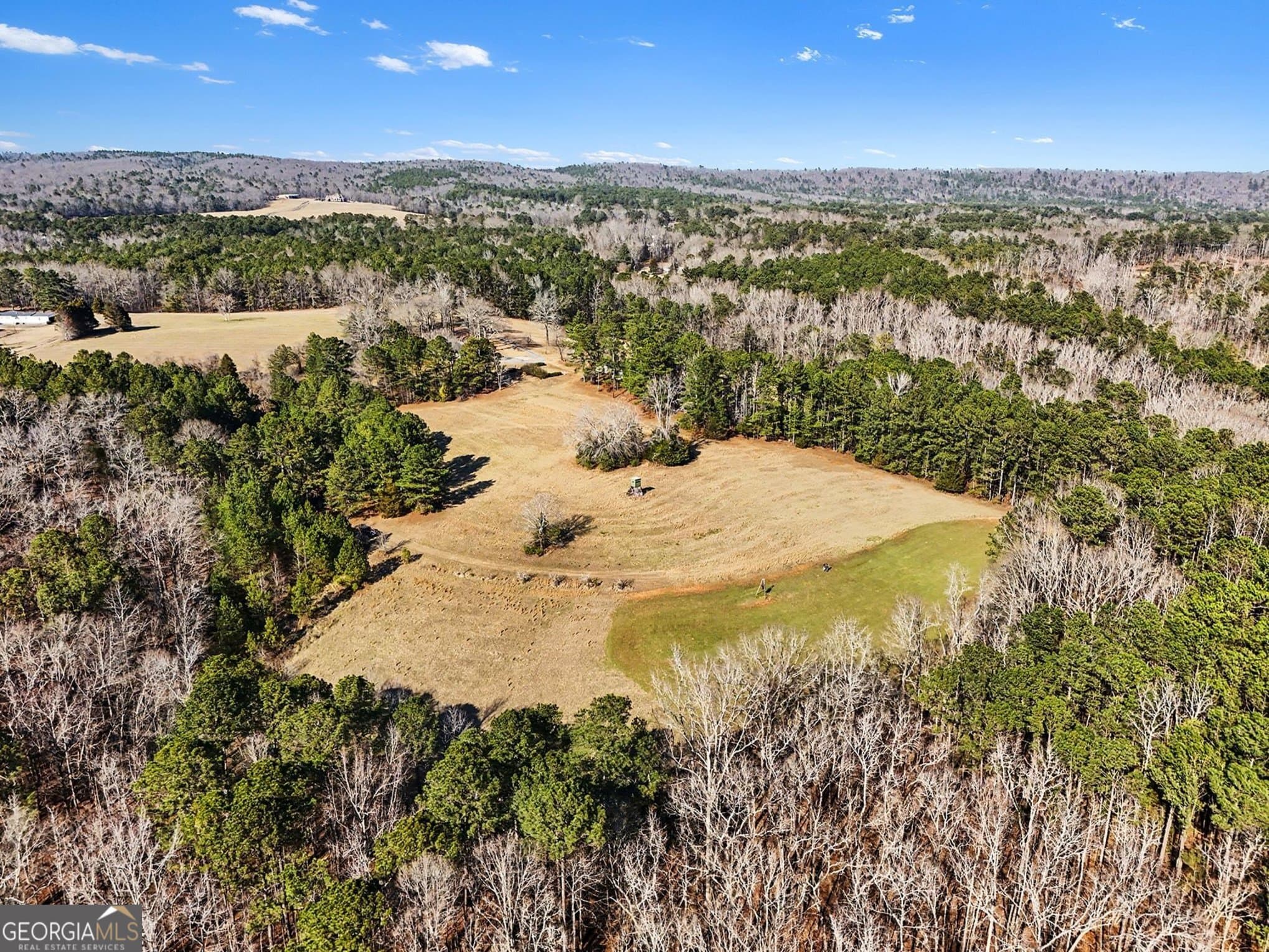 unimproved land for sale at 0 Vineyard Road, Thomaston, GA 30286 — photo 5