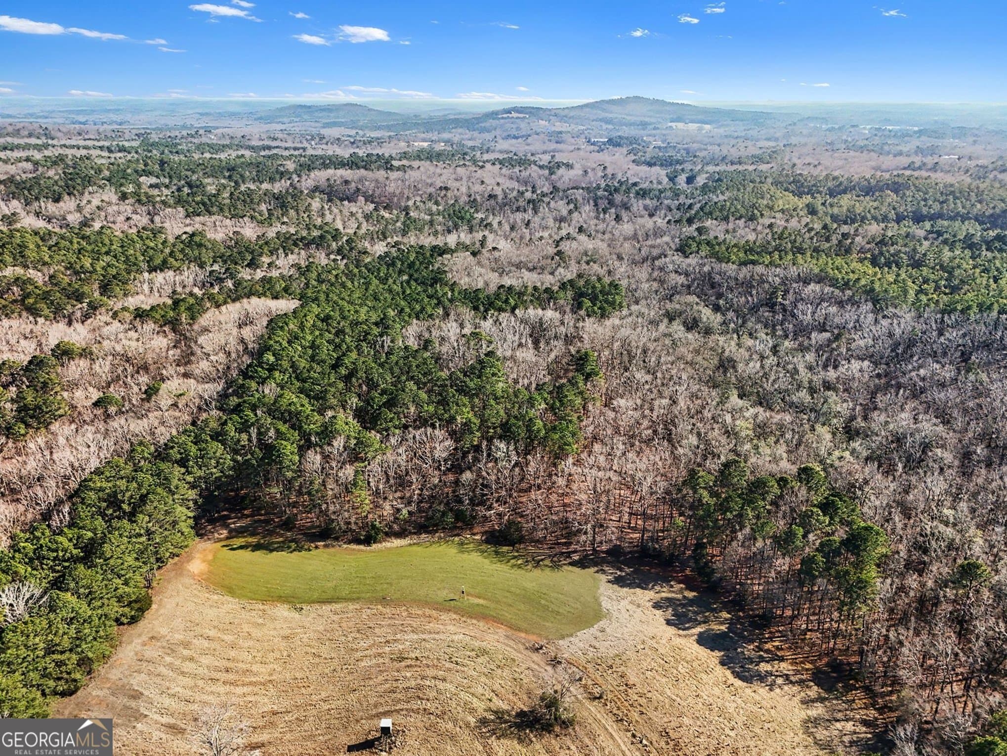 unimproved land for sale at 0 Vineyard Road, Thomaston, GA 30286 — photo 9