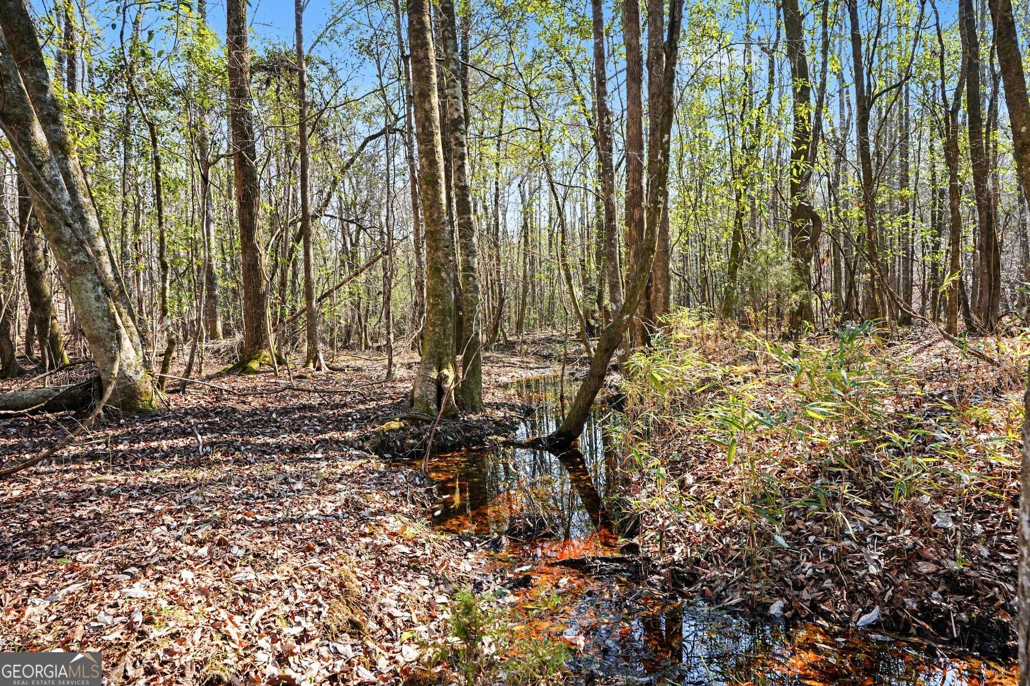 unimproved land for sale at 0 Vineyard Road, Thomaston, GA 30286 — photo 10