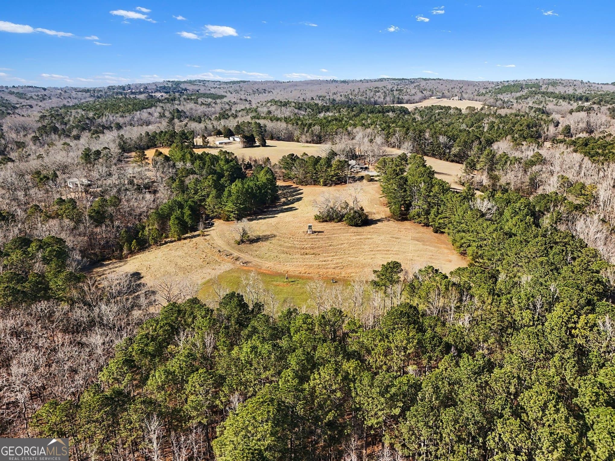 unimproved land for sale at 0 Vineyard Road, Thomaston, GA 30286 — photo 4