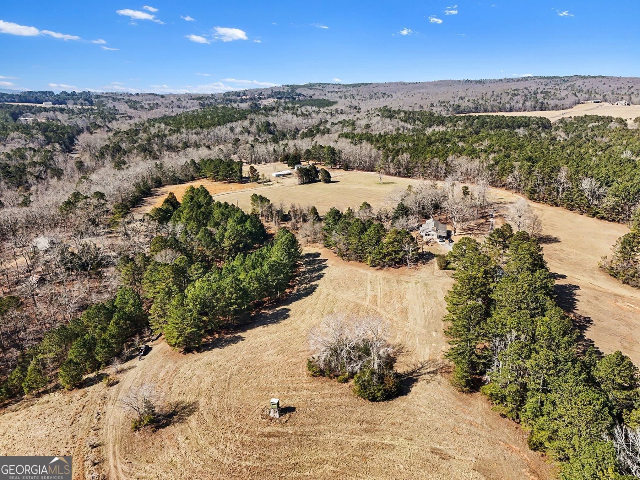 unimproved land for sale at 0 Vineyard Road, Thomaston, GA 30286 — photo 8