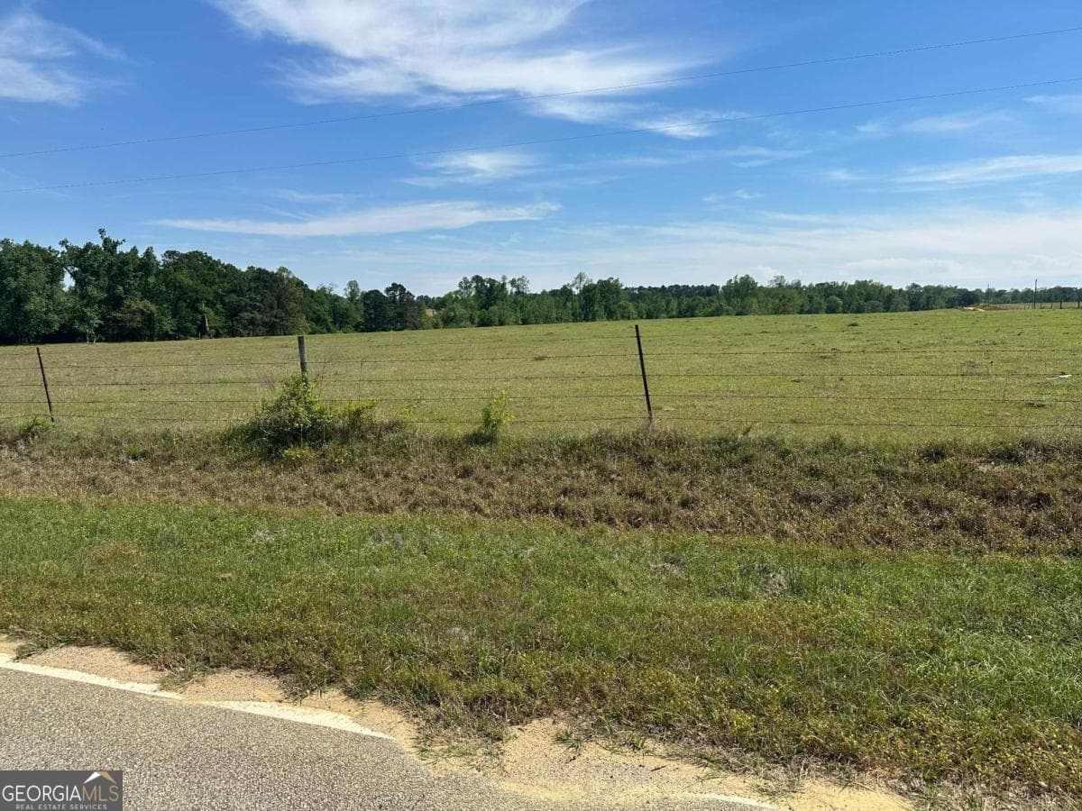 agriculture for sale at 2905 Donald Cobb Road, Bartow, GA 30413