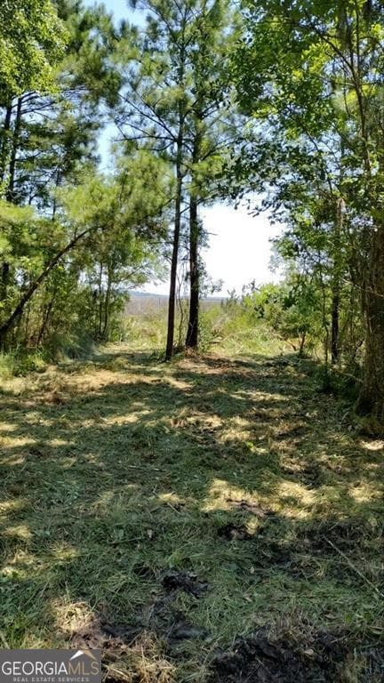 residential lot for sale at 0 Briar Patch Place LOT 16, Townsend, GA 31331 — photo 2