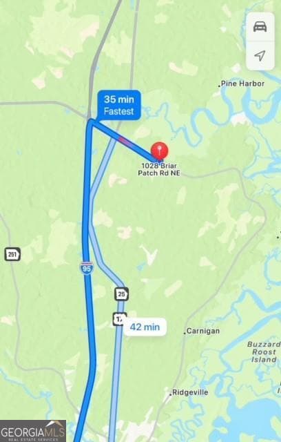 residential lot for sale at 0 Briar Patch Place LOT 16, Townsend, GA 31331 — photo 6