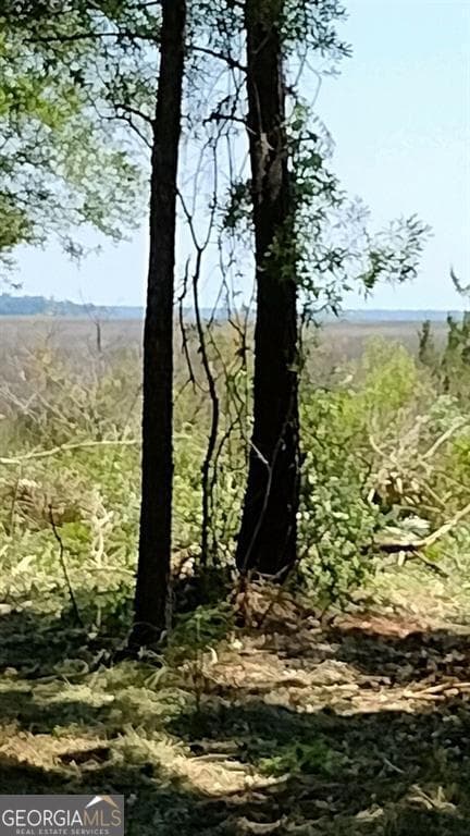 residential lot for sale at 0 Briar Patch Place LOT 16, Townsend, GA 31331 — photo 3