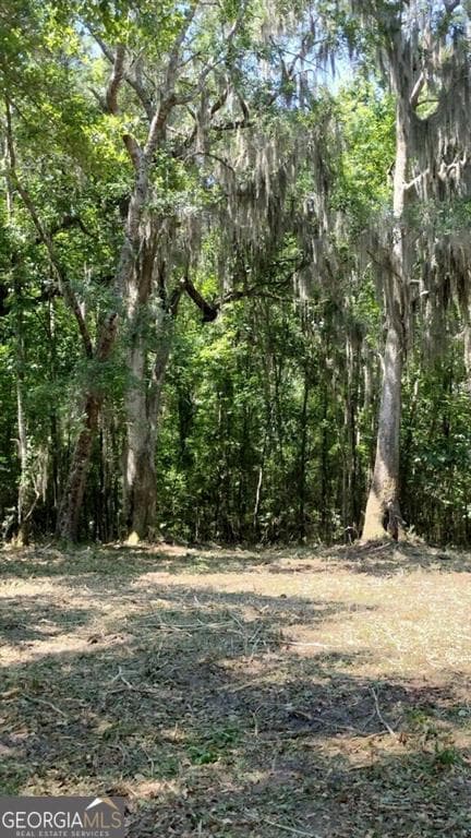 residential lot for sale at 0 Briar Patch Place LOT 16, Townsend, GA 31331 — photo 1 of 11
