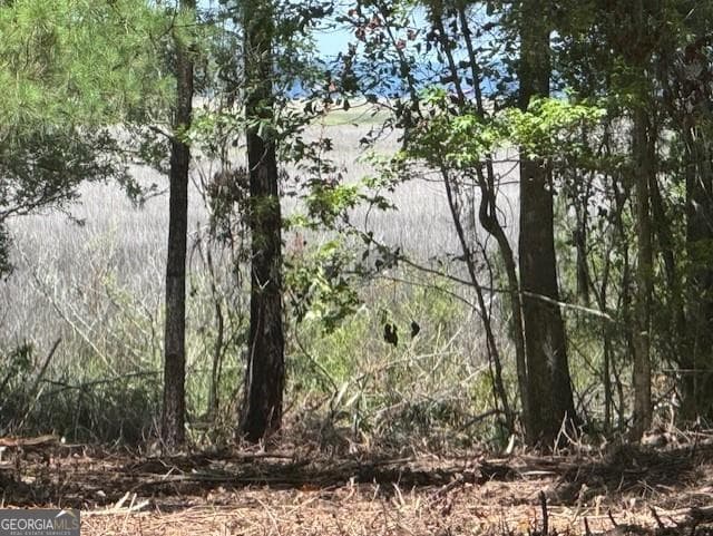 residential lot for sale at 0 Briar Patch Place LOT 16, Townsend, GA 31331 — photo 5
