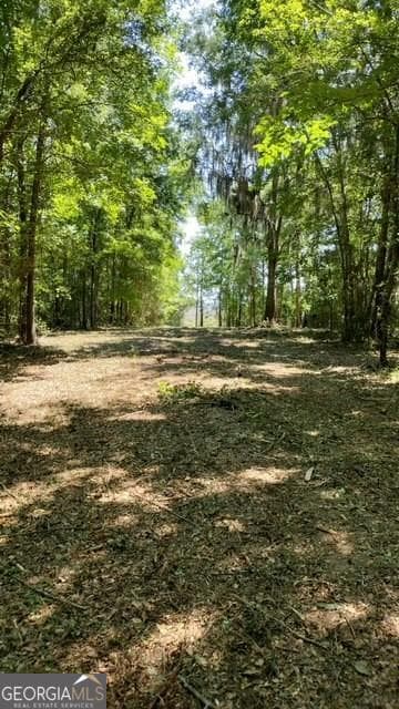 residential lot for sale at 0 Briar Patch Place LOT 16, Townsend, GA 31331 — photo 4