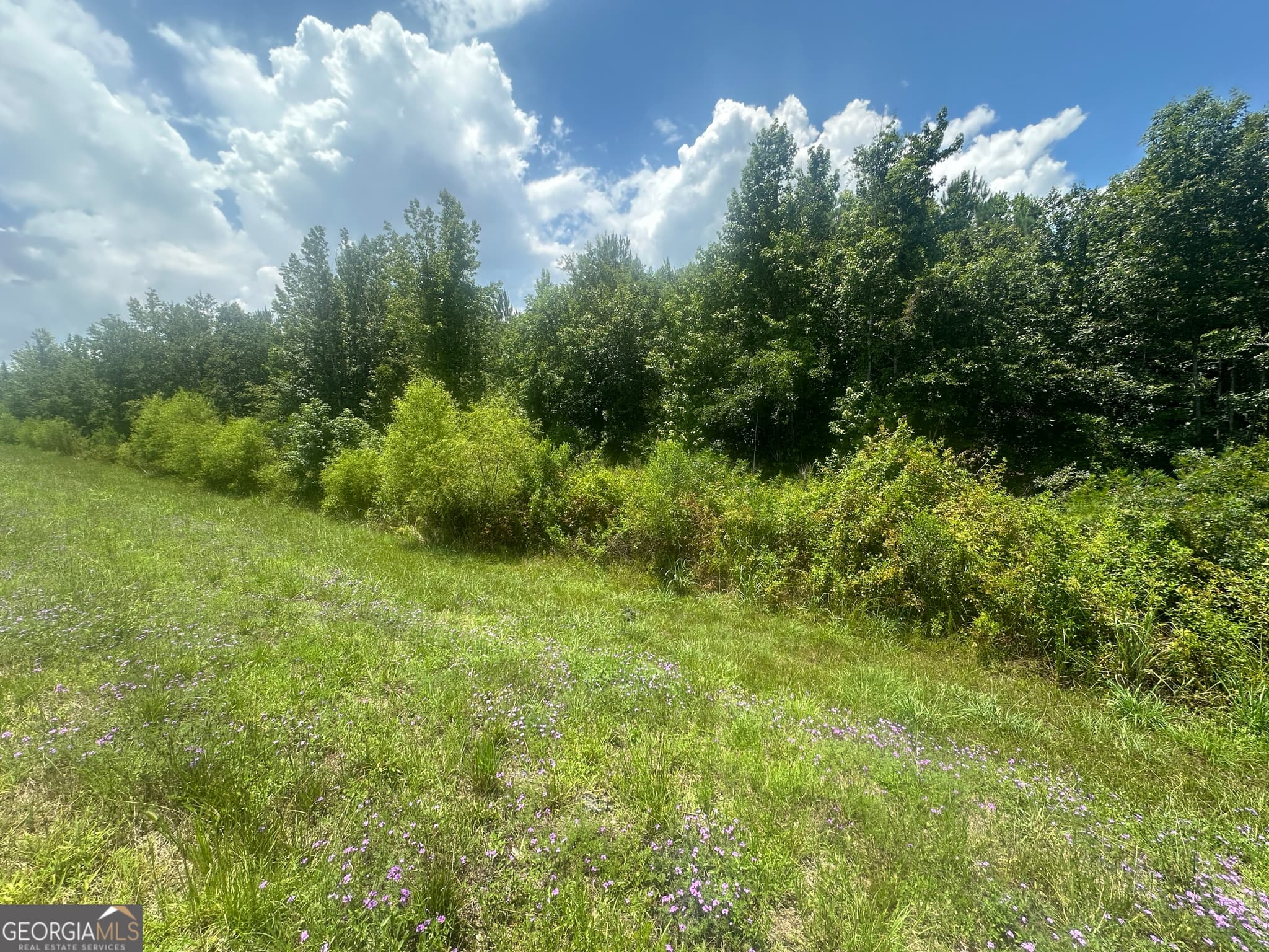 unimproved land for sale at 1475 Old us hwy Highway 1, Wadley, GA 30477 — photo 2
