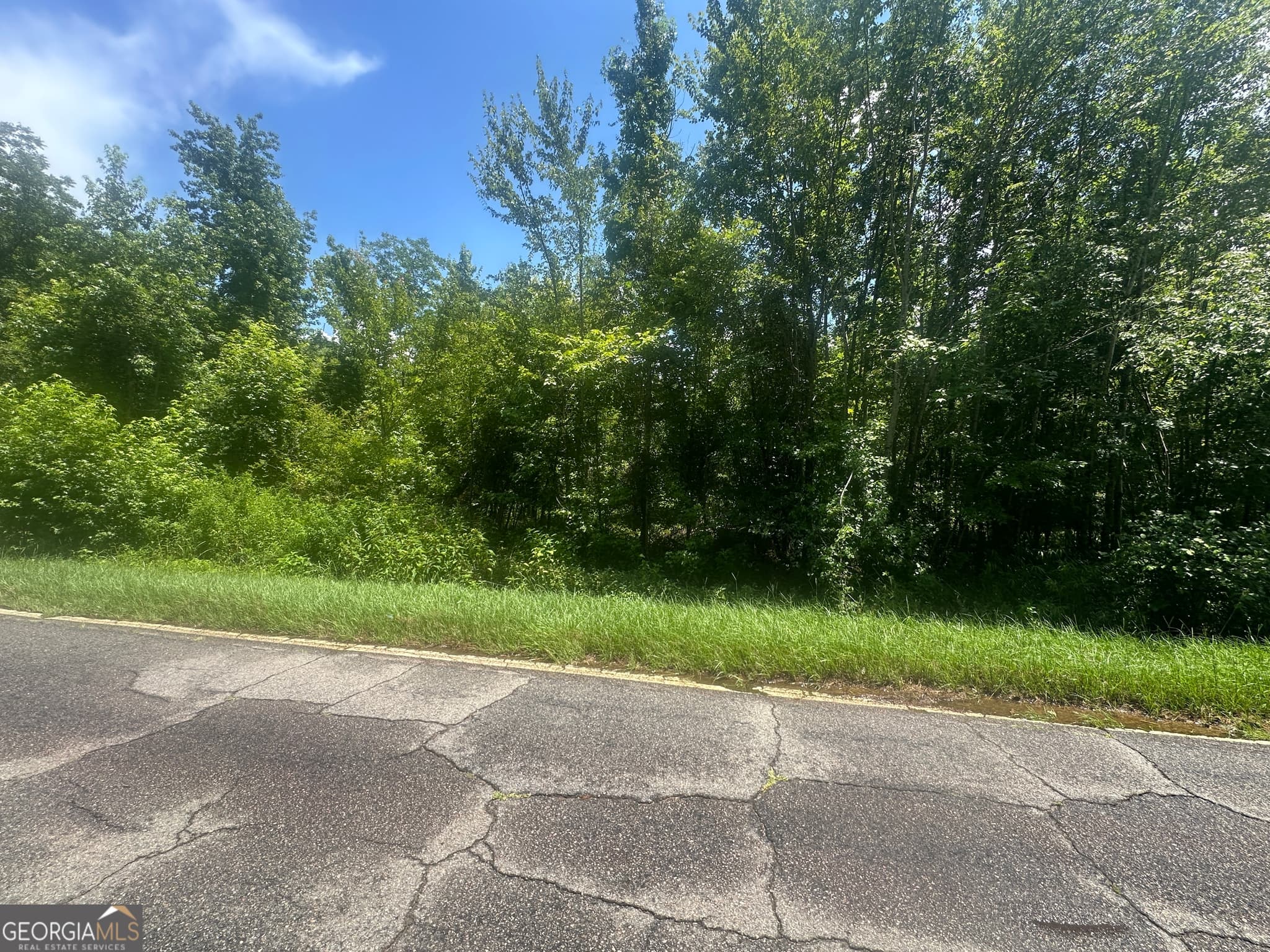 unimproved land for sale at 1475 Old us hwy Highway 1, Wadley, GA 30477 — photo 6