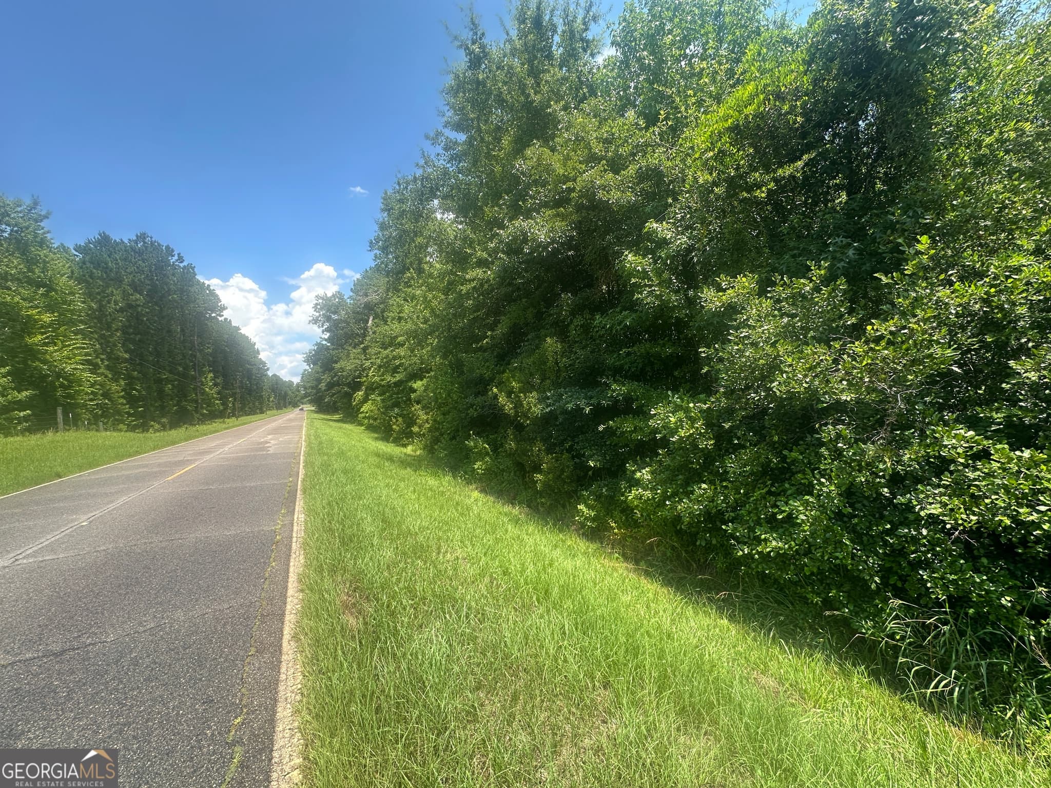 unimproved land for sale at 1475 Old us hwy Highway 1, Wadley, GA 30477 — photo 7