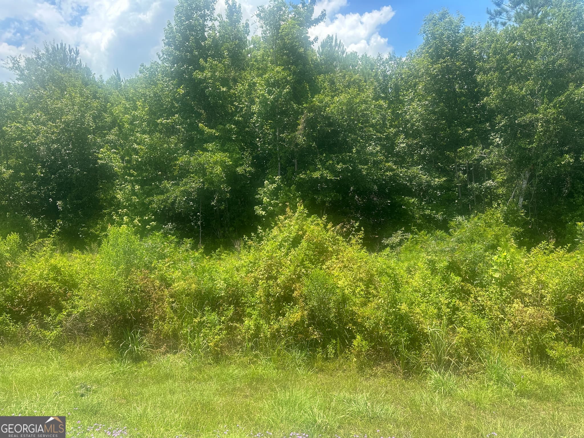 unimproved land for sale at 1475 Old us hwy Highway 1, Wadley, GA 30477 — photo 3