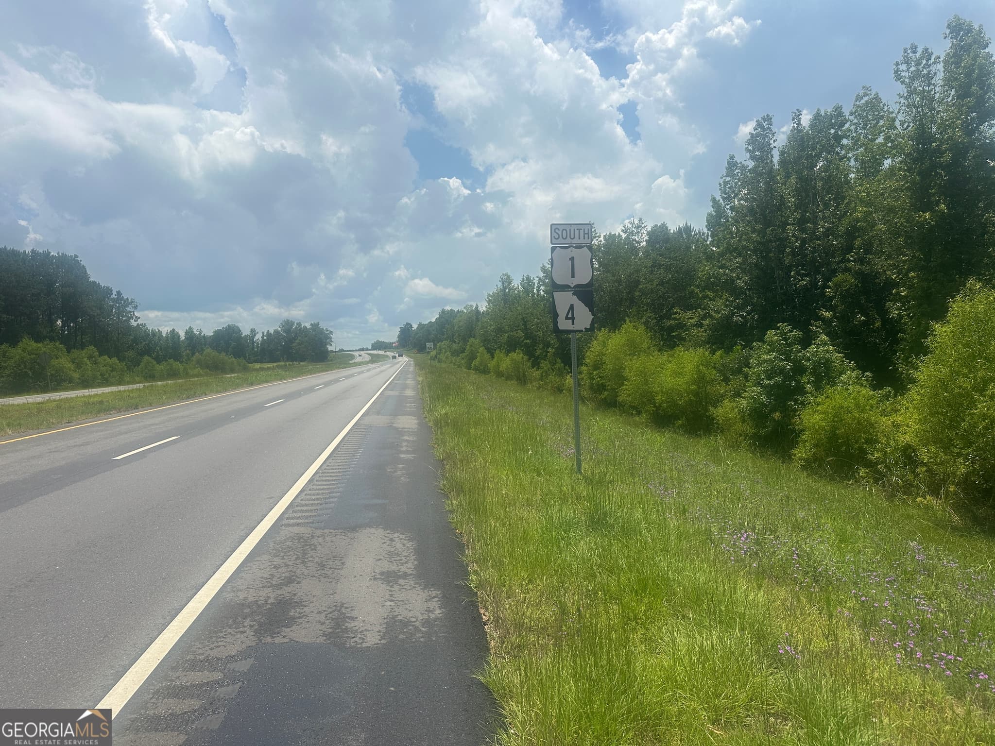 unimproved land for sale at 1475 Old us hwy Highway 1, Wadley, GA 30477 — photo 5