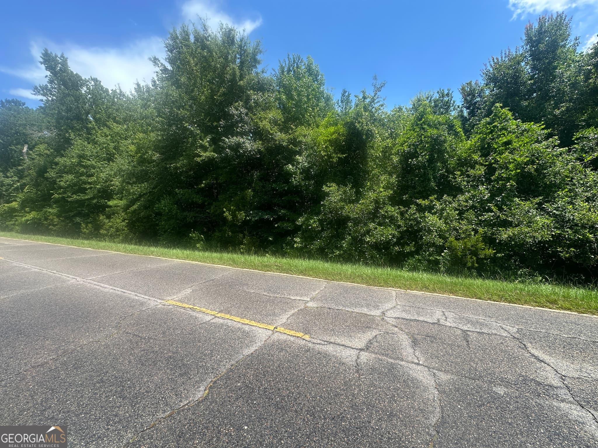 unimproved land for sale at 1475 Old us hwy Highway 1, Wadley, GA 30477 — photo 9