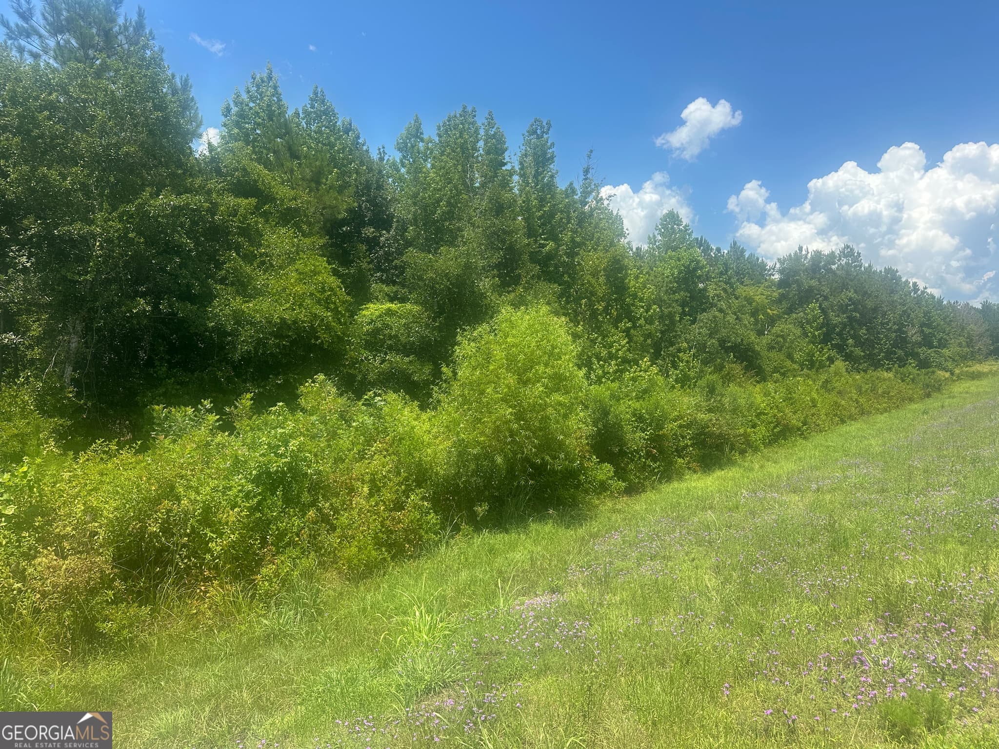 unimproved land for sale at 1475 Old us hwy Highway 1, Wadley, GA 30477 — photo 4