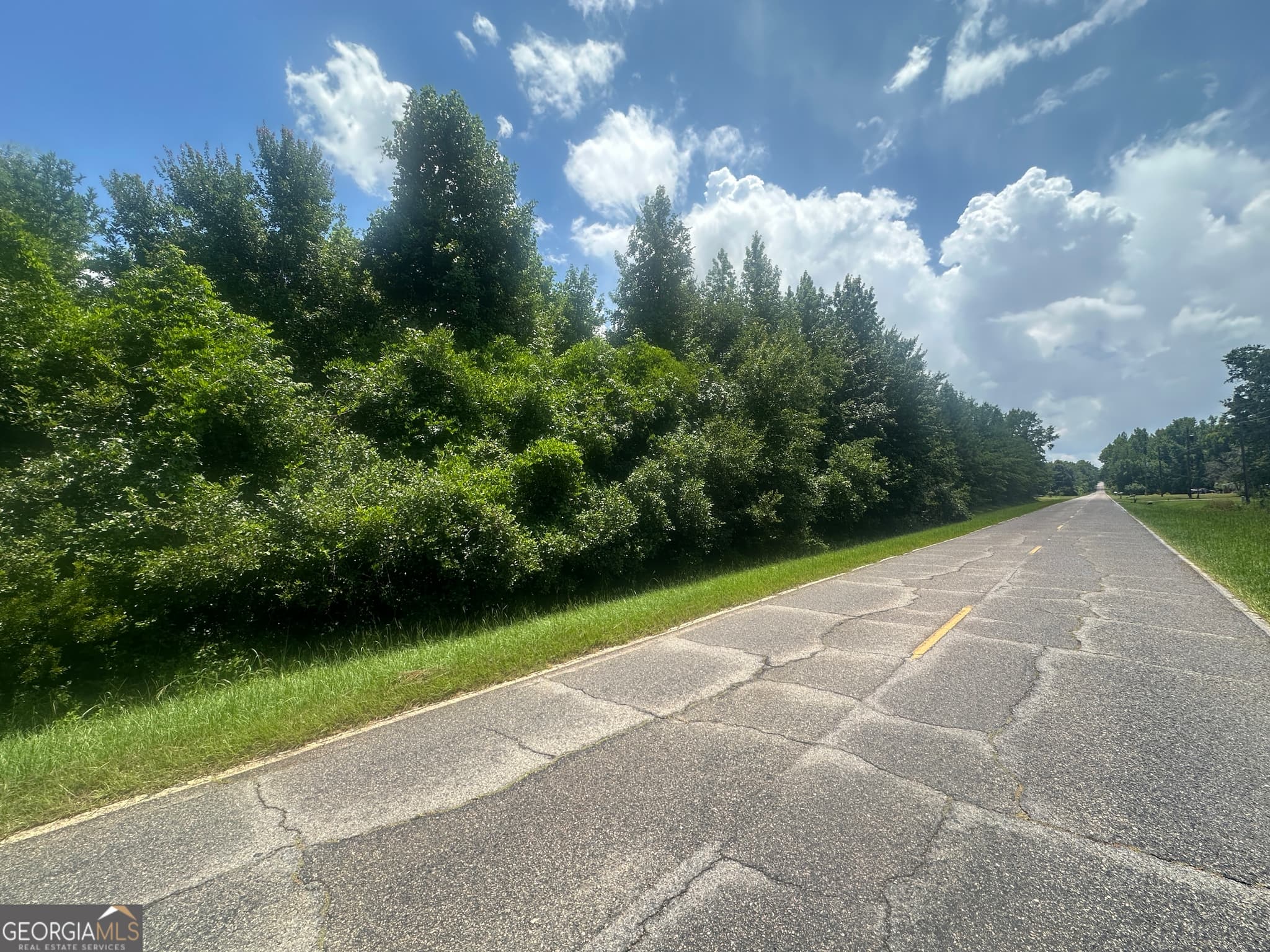 unimproved land for sale at 1475 Old us hwy Highway 1, Wadley, GA 30477 — photo 8