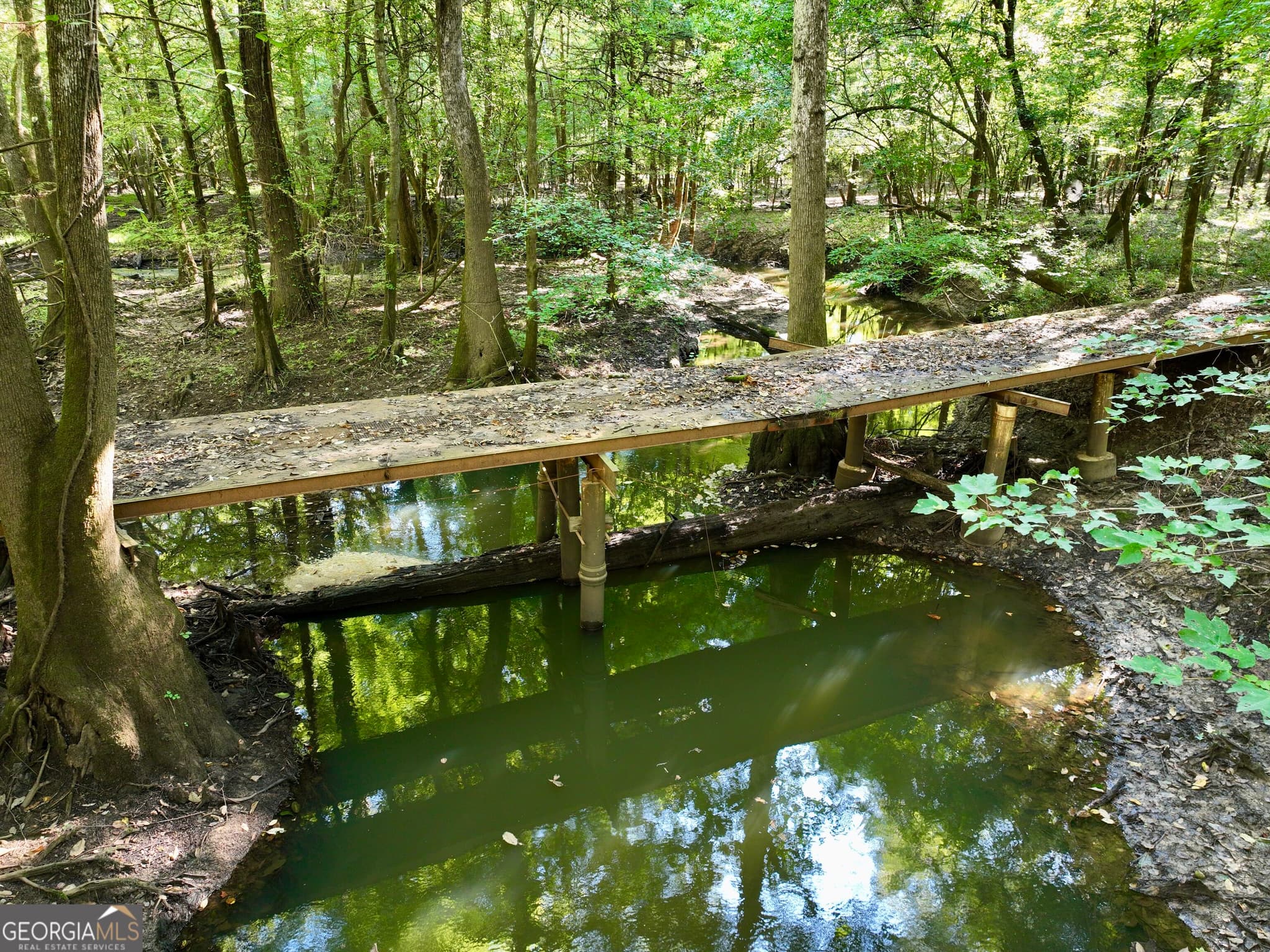 3 bedroom, 2 bathroom, 1,600 sq ft farm under contract at 239 Coleman Landing Road, Hawkinsville, GA 31036 — photo 6