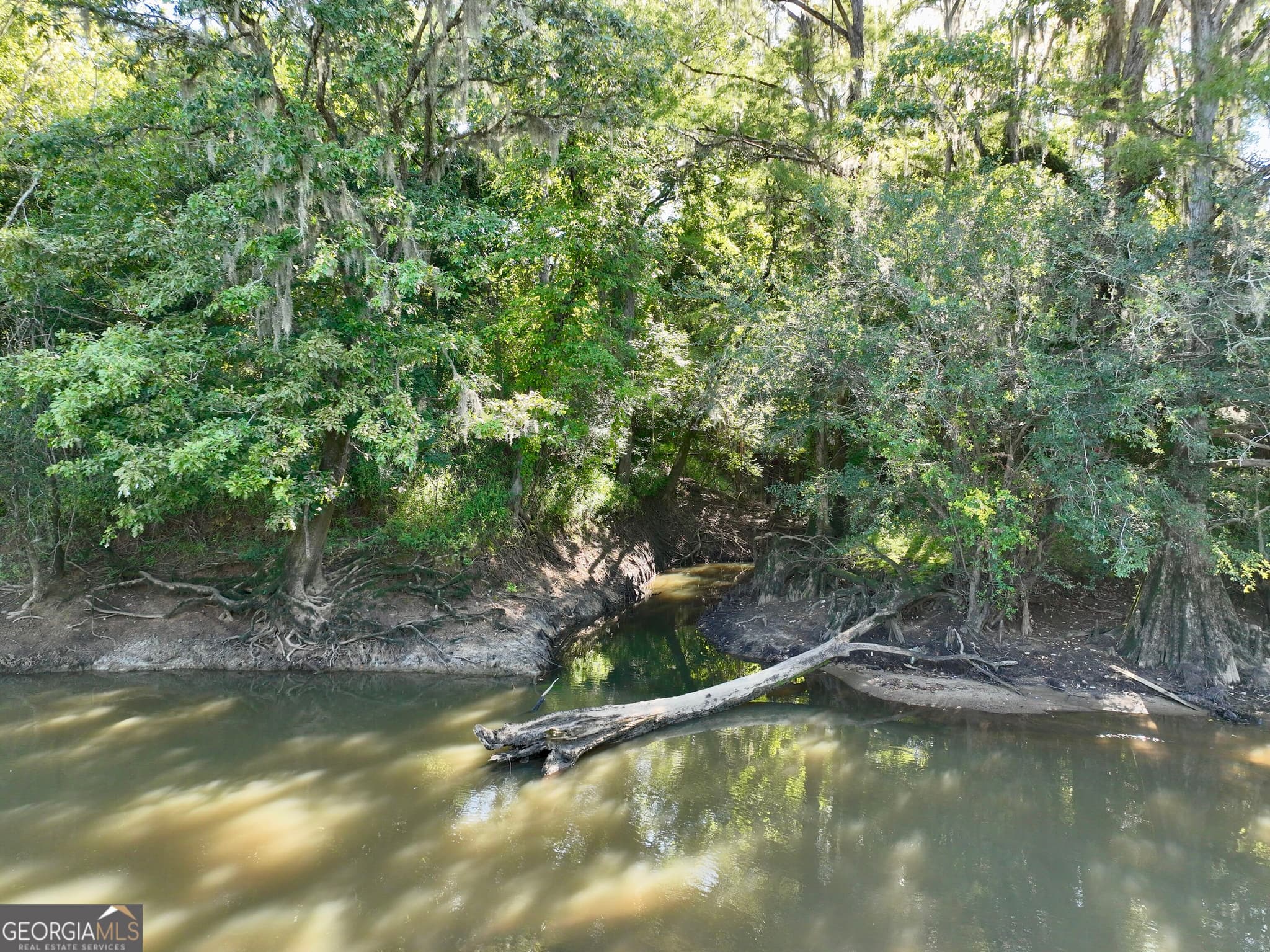 3 bedroom, 2 bathroom, 1,600 sq ft farm under contract at 239 Coleman Landing Road, Hawkinsville, GA 31036 — photo 9