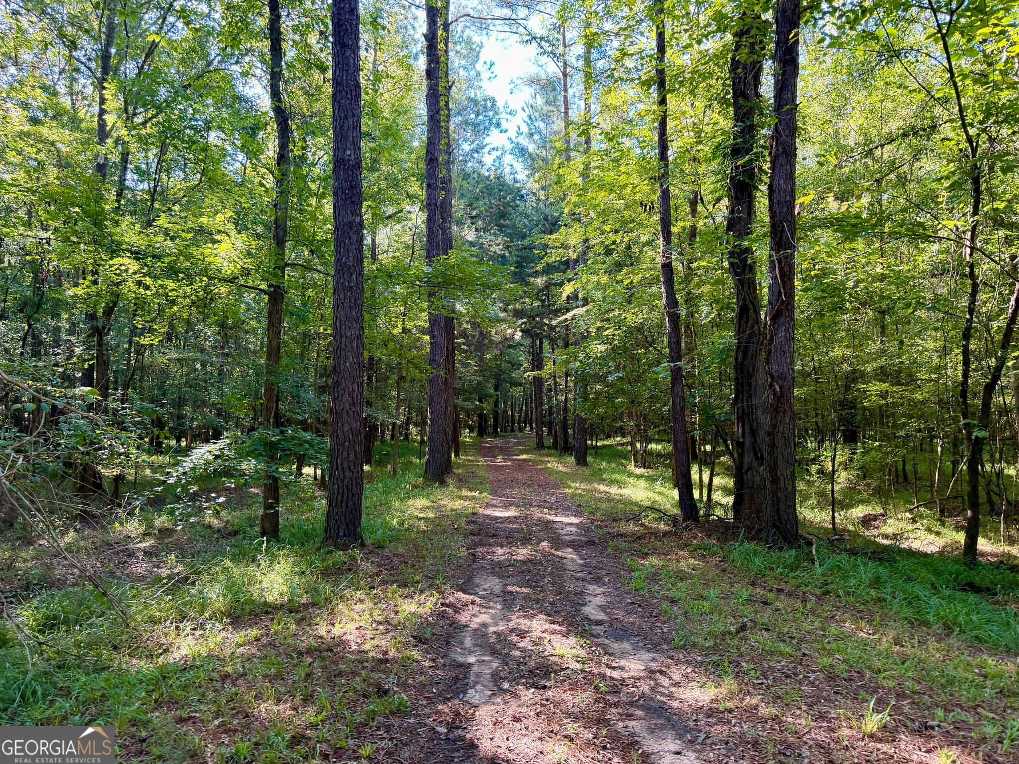 3 bedroom, 2 bathroom, 1,600 sq ft farm under contract at 239 Coleman Landing Road, Hawkinsville, GA 31036 — photo 8