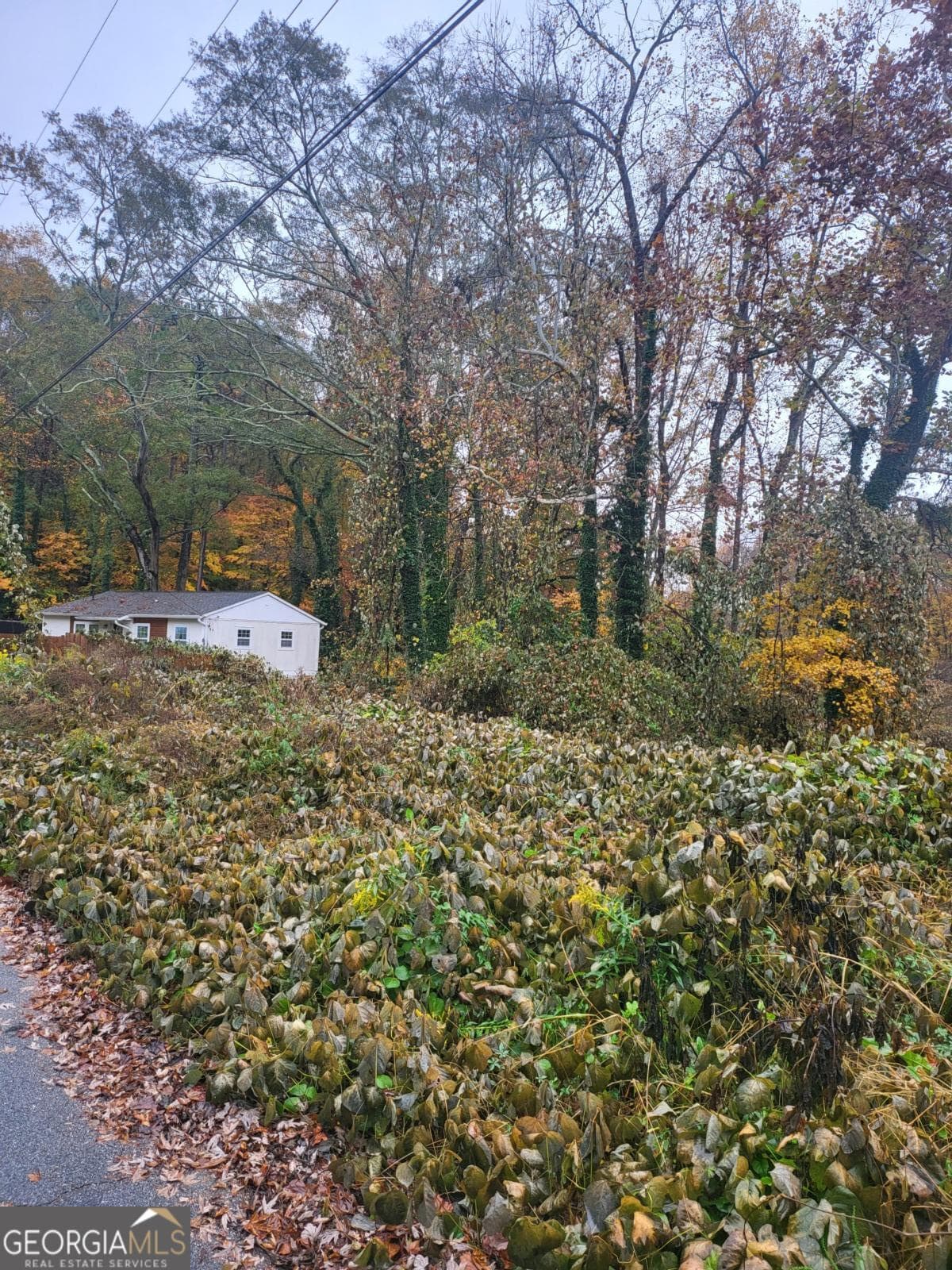 residential lot for sale at 0 Swallow Circle, Atlanta, GA 30315 — photo 1 of 4