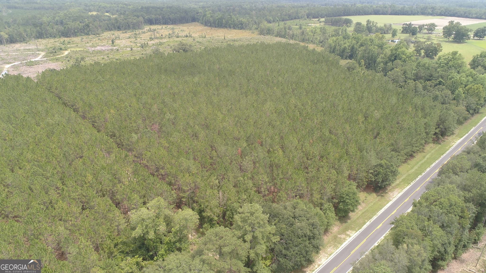 agriculture sold at 0 Hendrix Bridge Road, Claxton, GA 30417