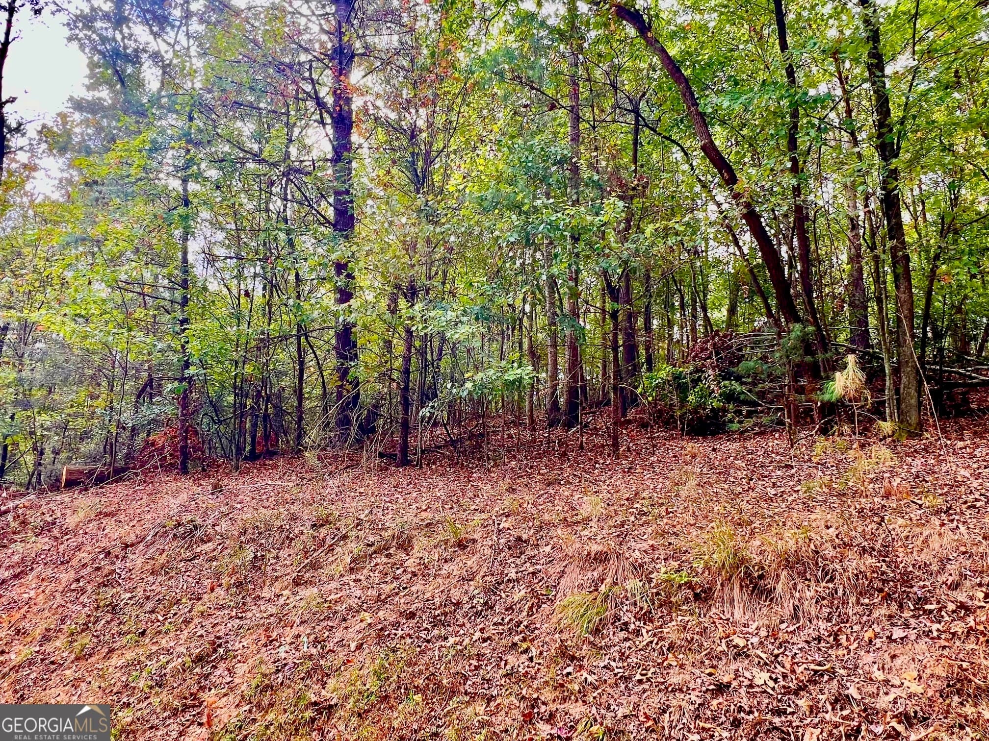 residential lot for sale at 415 Chatawa Court, Ellijay, GA 30540 — photo 1 of 13