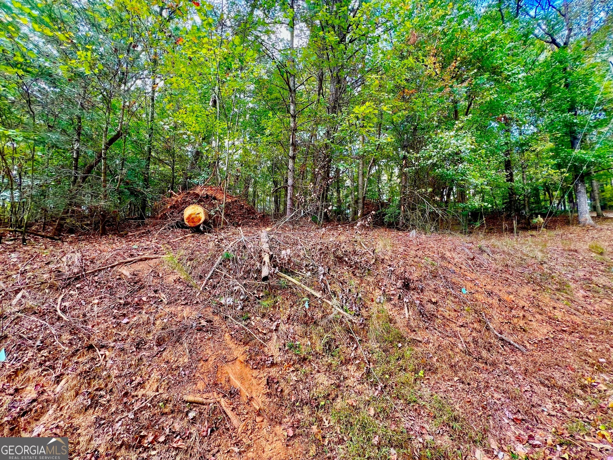 residential lot for sale at 415 Chatawa Court, Ellijay, GA 30540 — photo 9