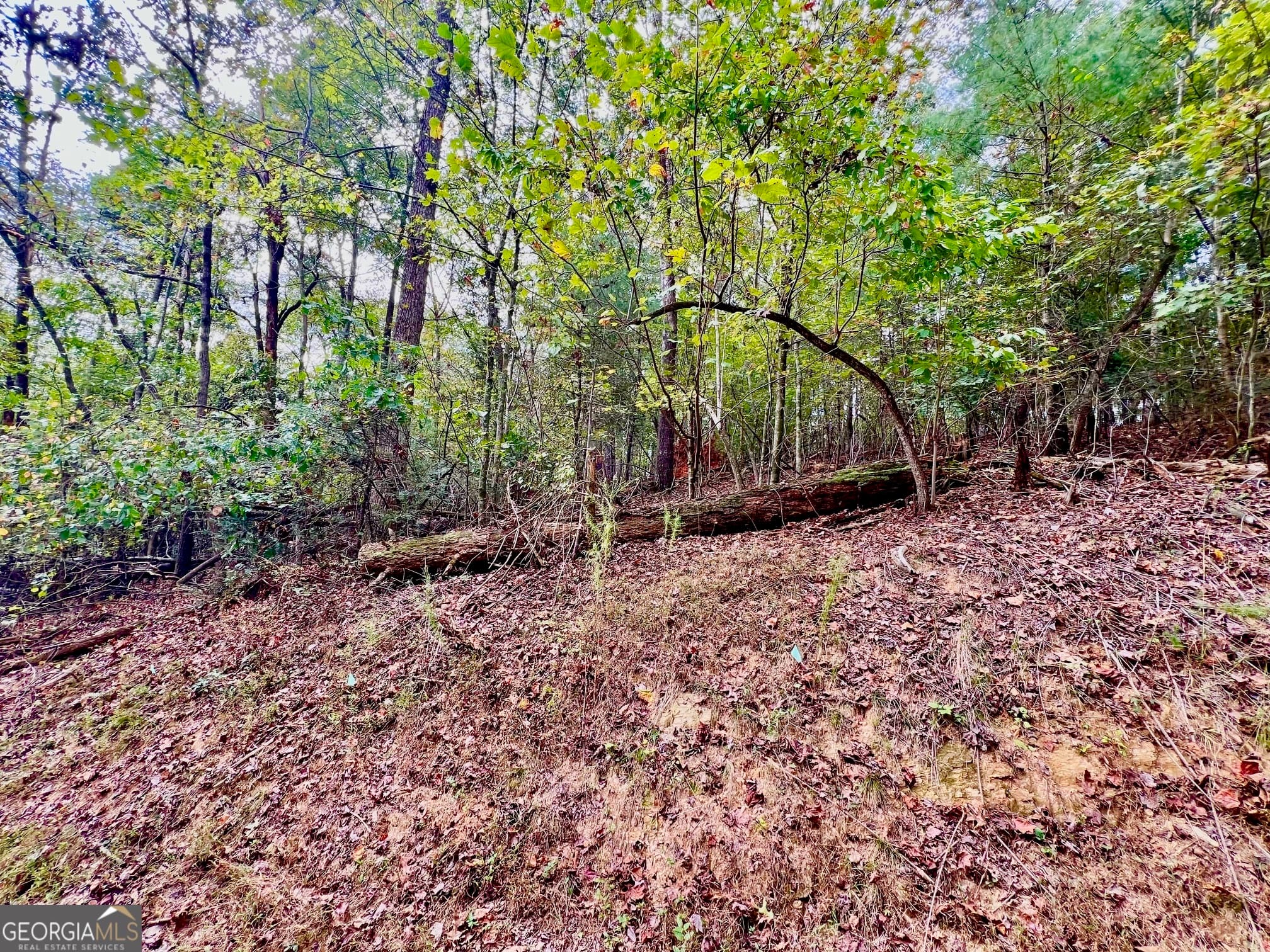 residential lot for sale at 415 Chatawa Court, Ellijay, GA 30540 — photo 10