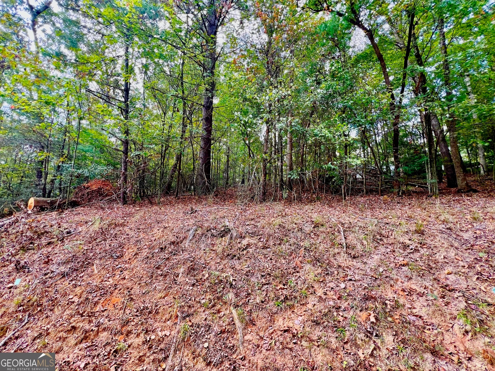 residential lot for sale at 415 Chatawa Court, Ellijay, GA 30540 — photo 8