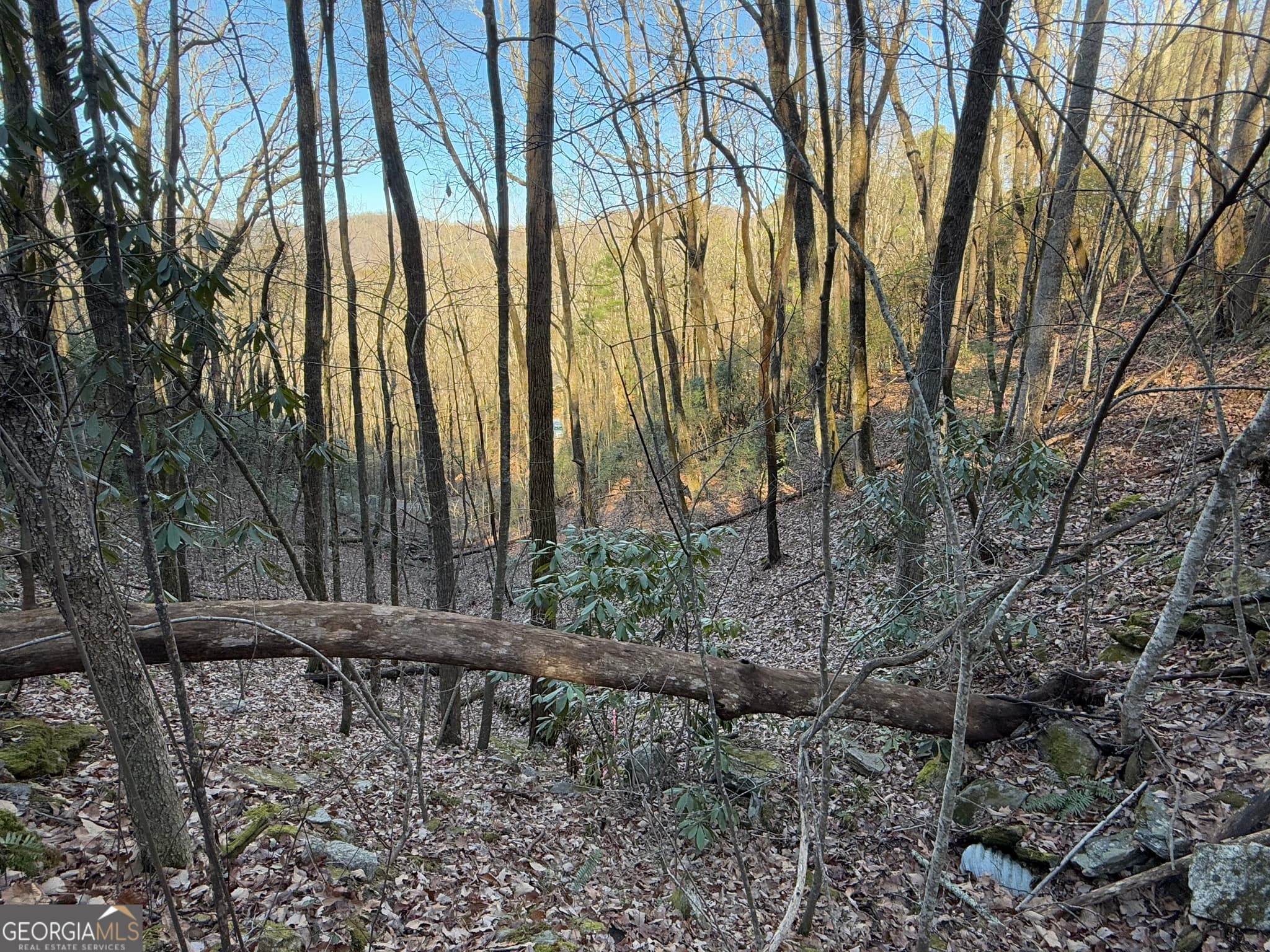residential lot for sale at 0 ARBUTUS TRAIL Arbutus Trail, Clayton, GA 30525 — photo 2