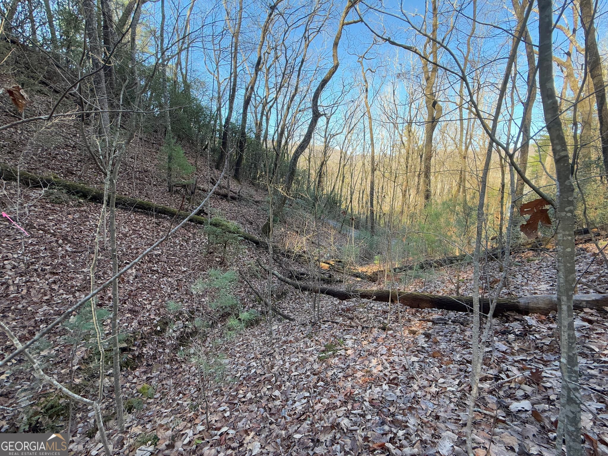 residential lot for sale at 0 ARBUTUS TRAIL Arbutus Trail, Clayton, GA 30525 — photo 6