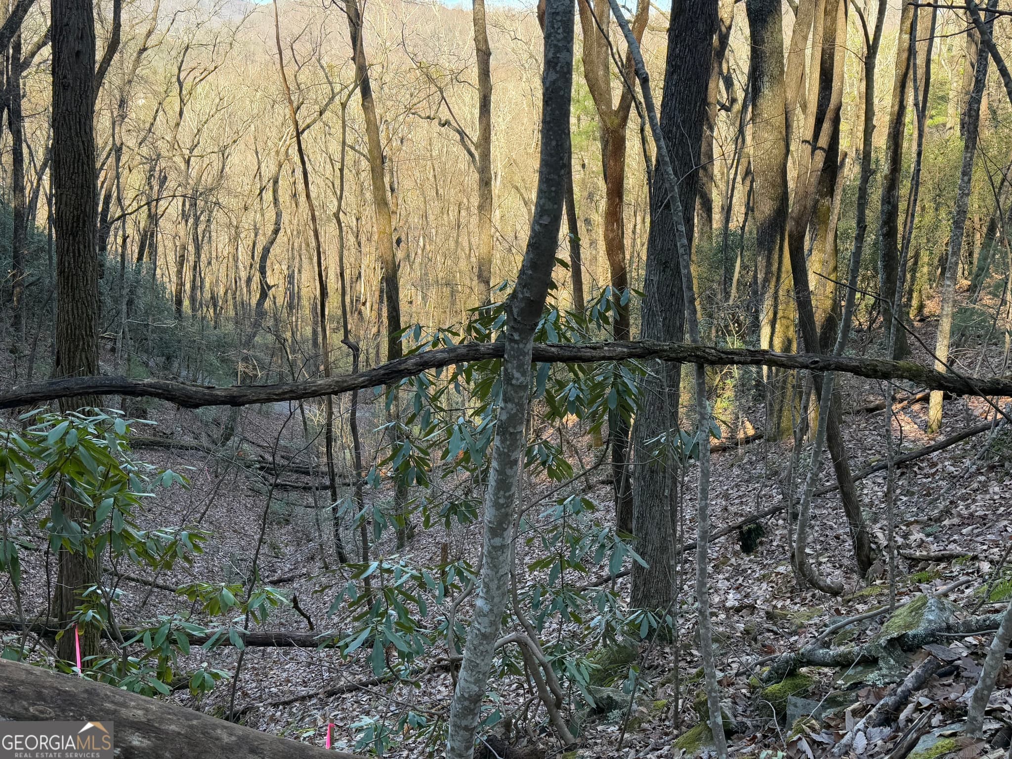 residential lot for sale at 0 ARBUTUS TRAIL Arbutus Trail, Clayton, GA 30525 — photo 7