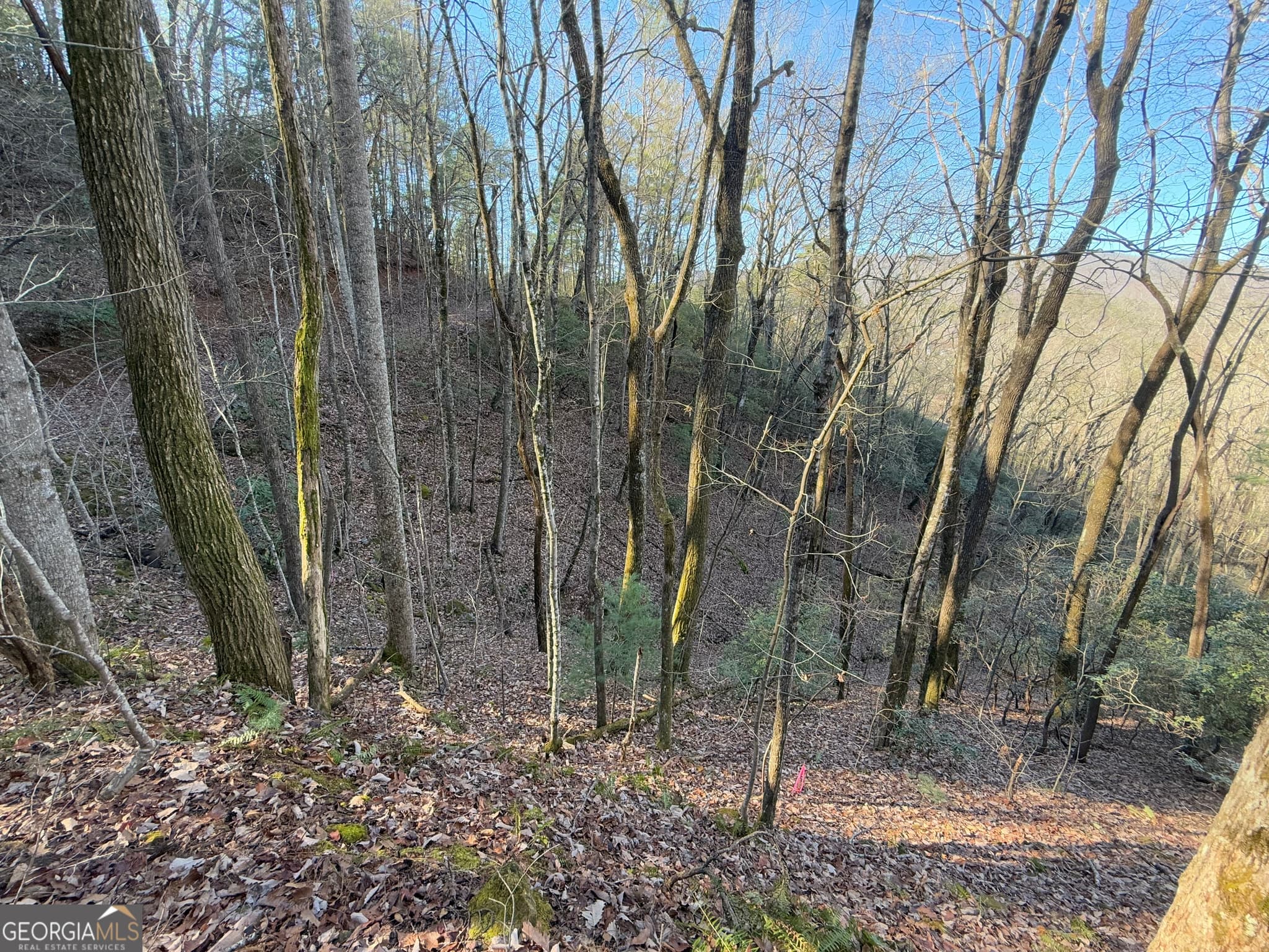 residential lot for sale at 0 ARBUTUS TRAIL Arbutus Trail, Clayton, GA 30525 — photo 3