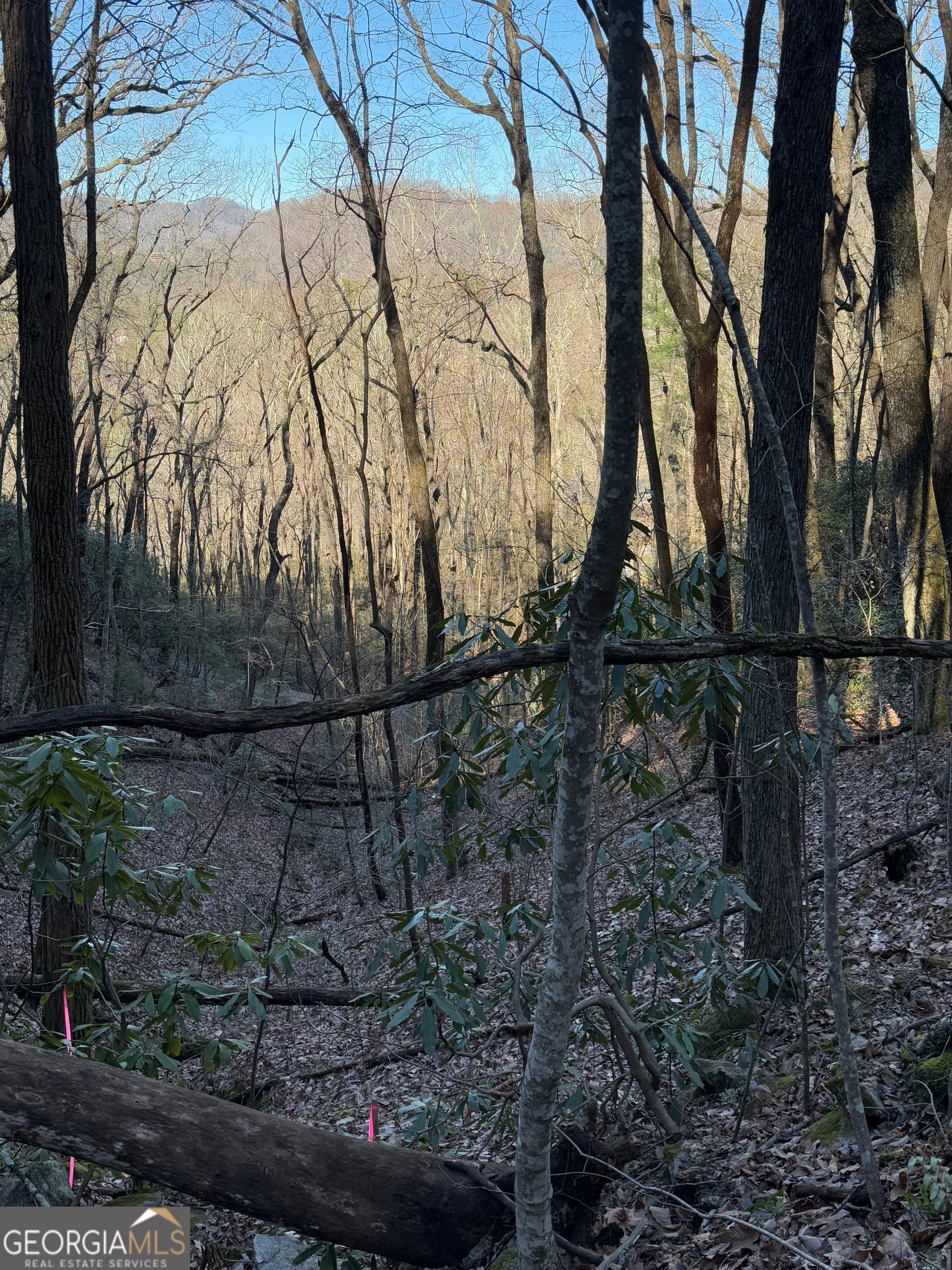 residential lot for sale at 0 ARBUTUS TRAIL Arbutus Trail, Clayton, GA 30525 — photo 1 of 12