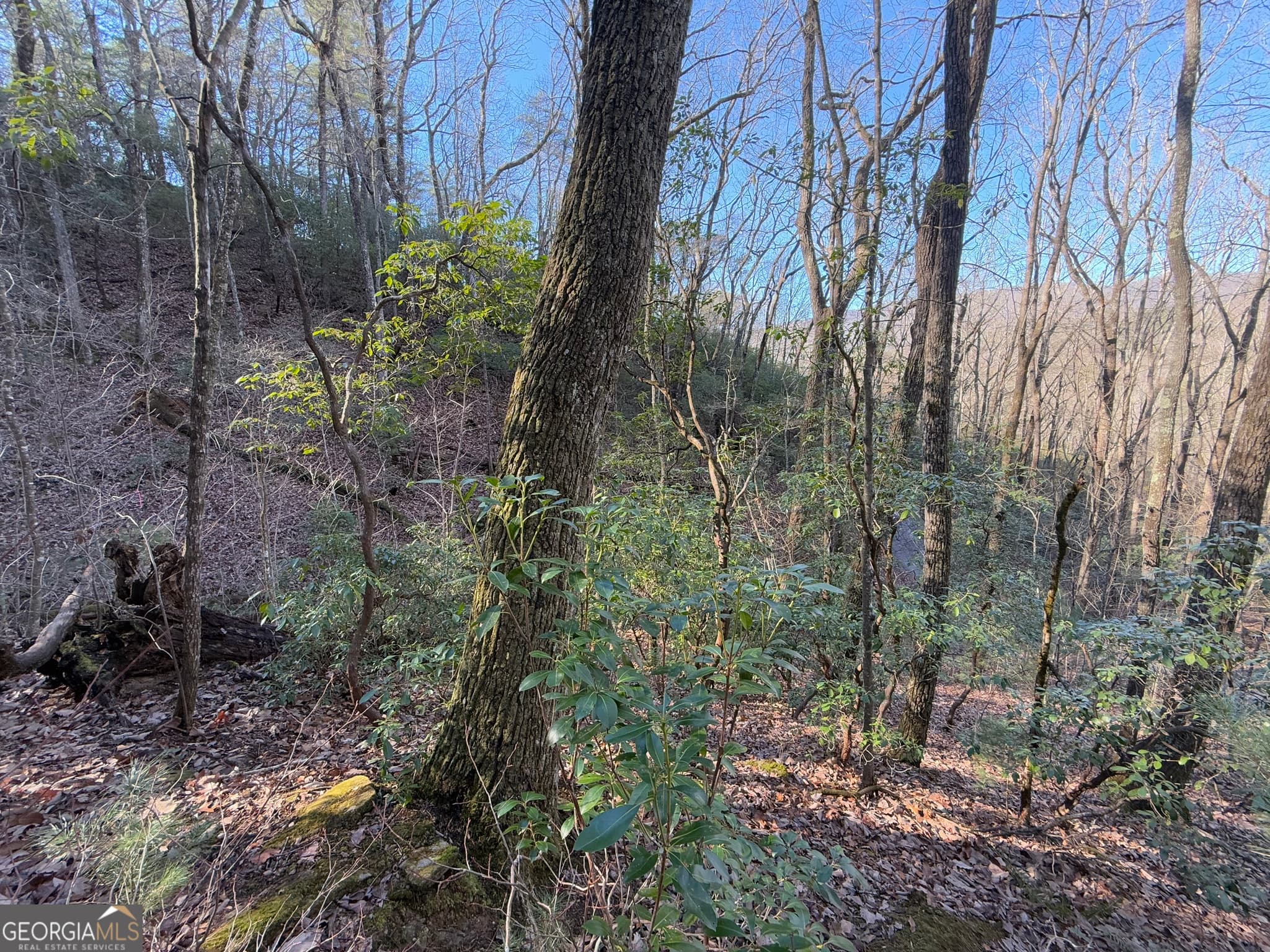 residential lot for sale at 0 ARBUTUS TRAIL Arbutus Trail, Clayton, GA 30525 — photo 5