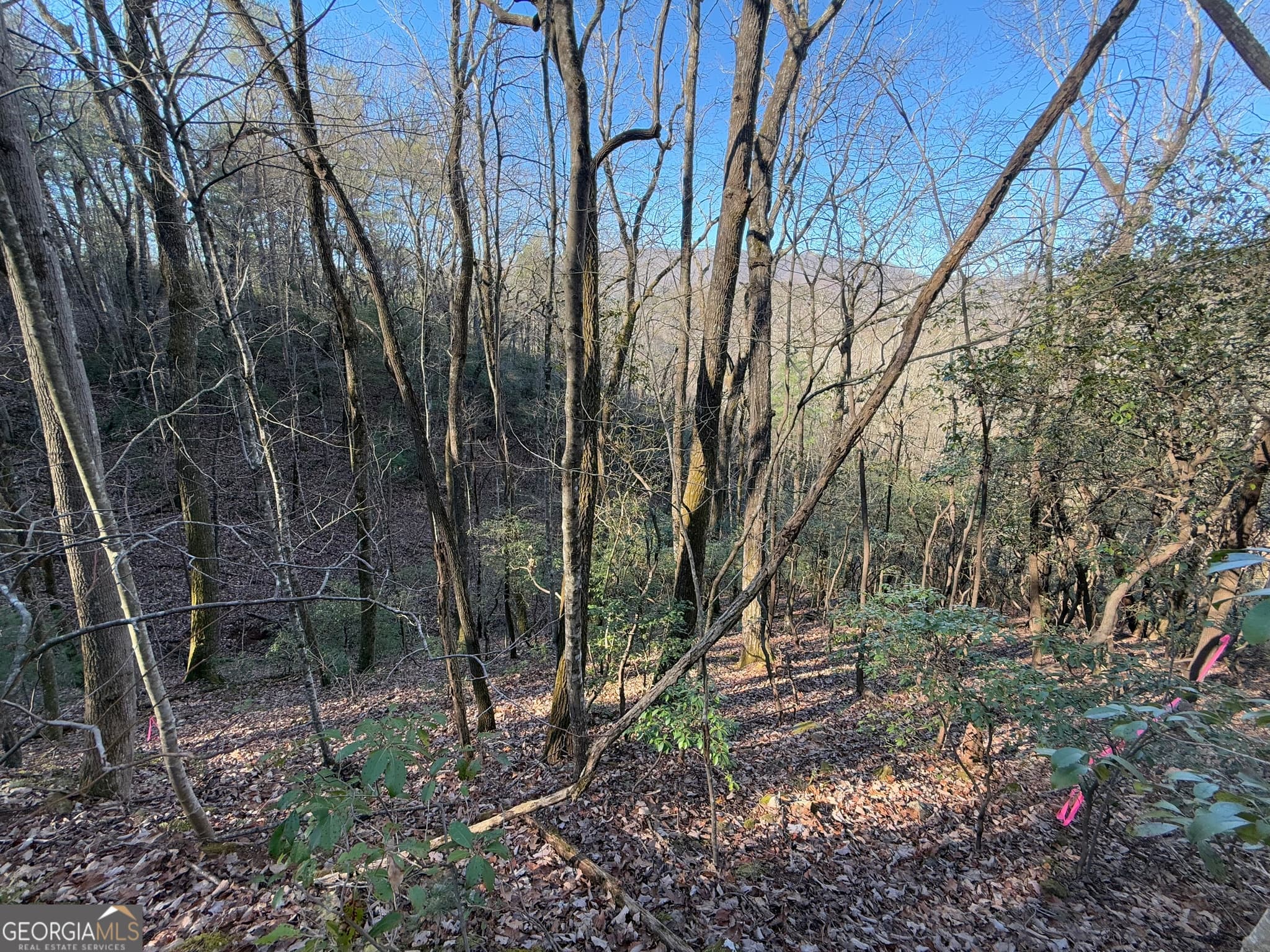 residential lot for sale at 0 ARBUTUS TRAIL Arbutus Trail, Clayton, GA 30525 — photo 9