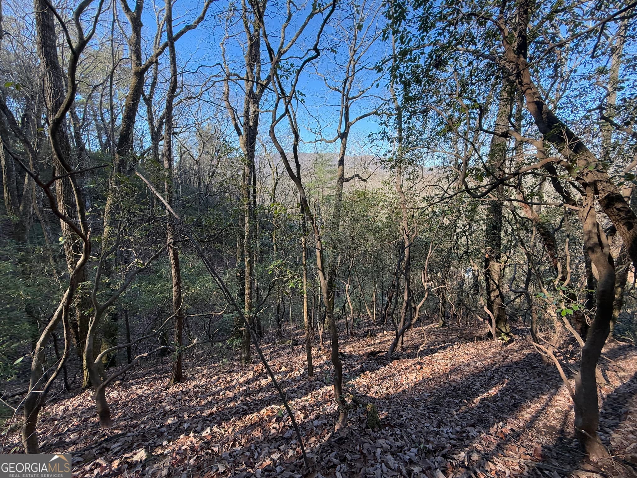 residential lot for sale at 0 ARBUTUS TRAIL Arbutus Trail, Clayton, GA 30525 — photo 10
