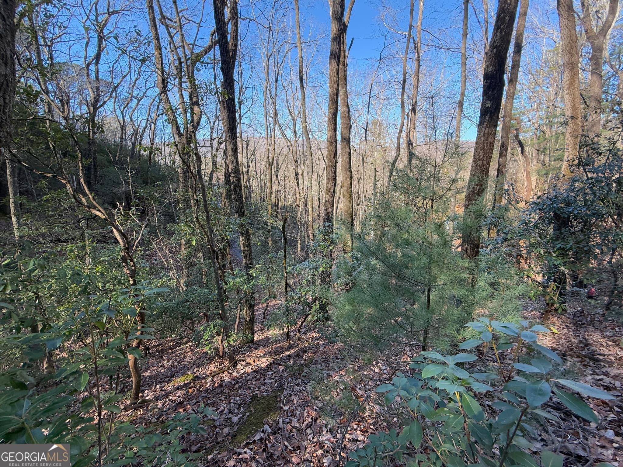 residential lot for sale at 0 ARBUTUS TRAIL Arbutus Trail, Clayton, GA 30525 — photo 4