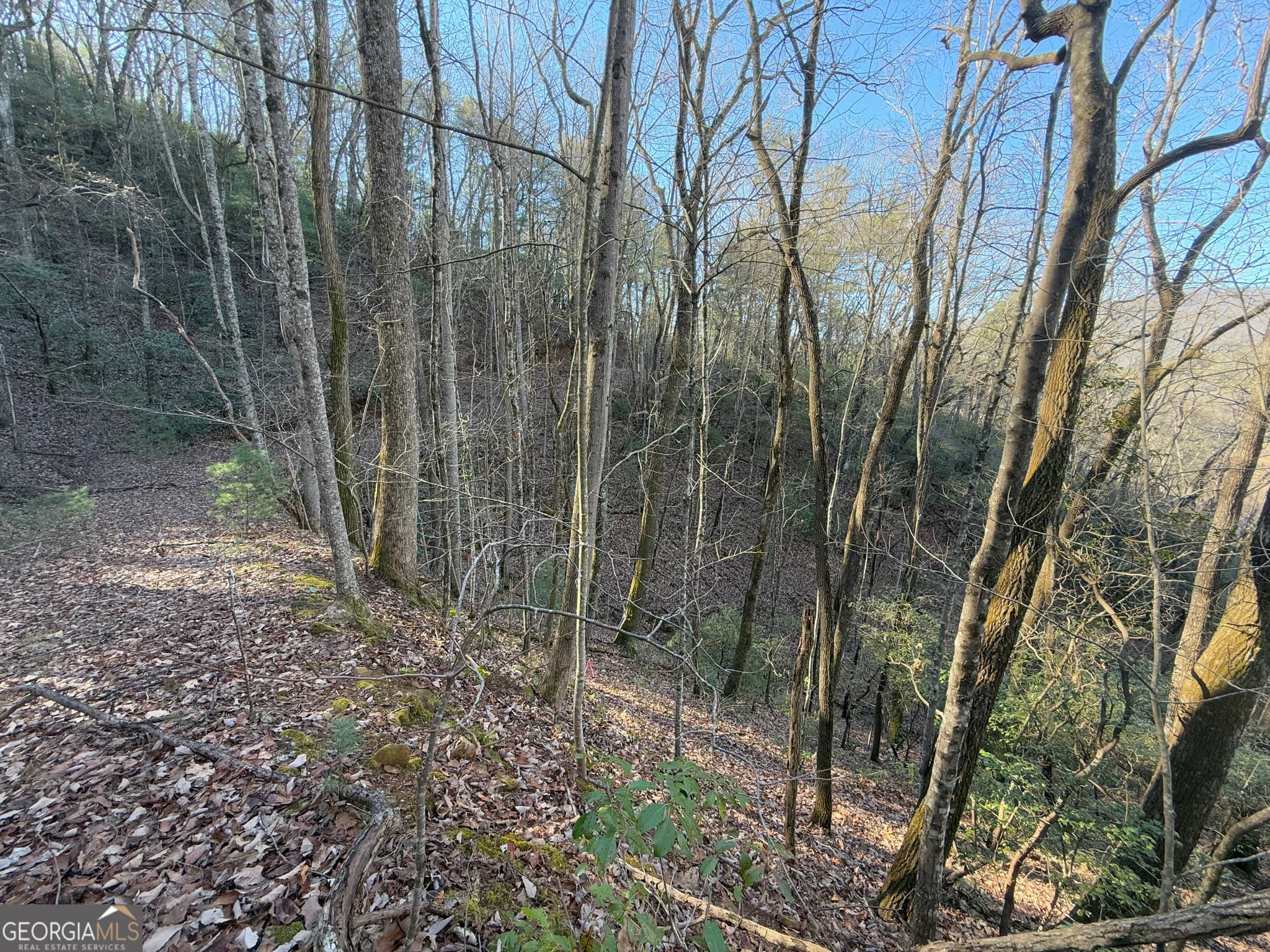 residential lot for sale at 0 ARBUTUS TRAIL Arbutus Trail, Clayton, GA 30525 — photo 8