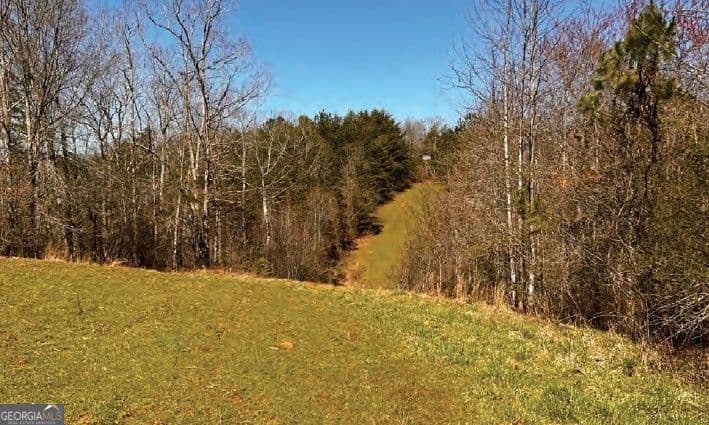 unimproved land for sale at 6390 Lula Road, Lula, GA 30554 — photo 9