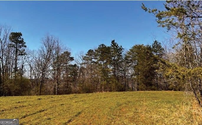 unimproved land for sale at 6390 Lula Road, Lula, GA 30554 — photo 10