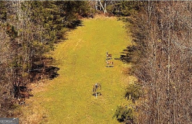 unimproved land for sale at 6390 Lula Road, Lula, GA 30554 — photo 8