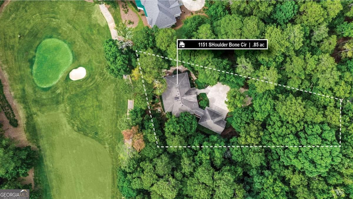 3 bedroom, 4 bathroom, 4,300 sq ft single family residence for sale at 1151 Shoulder Bone Circle, Greensboro, GA 30642 — photo 2