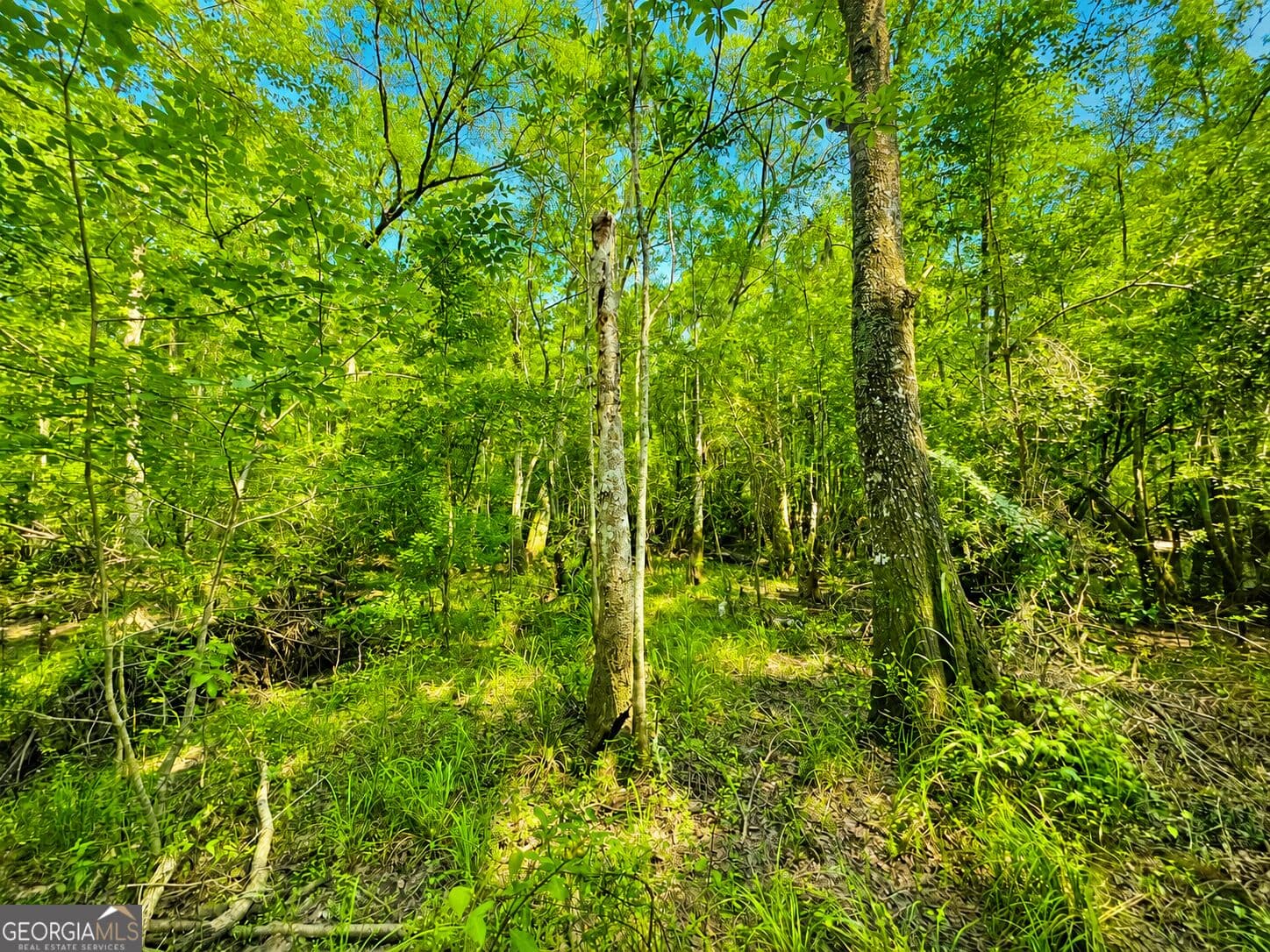 agriculture for sale at 0 Herrin Lake, Nahunta, GA 31553 — photo 2