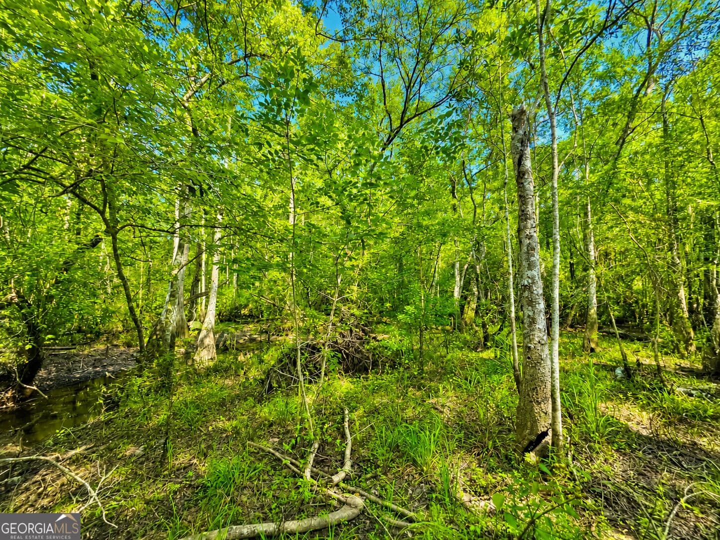 agriculture for sale at 0 Herrin Lake, Nahunta, GA 31553