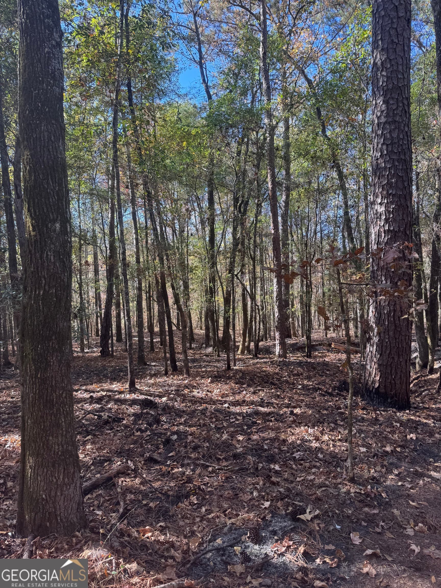 residential lot for sale at 157 W Drummond Road, West Point, GA 31833 — photo 2