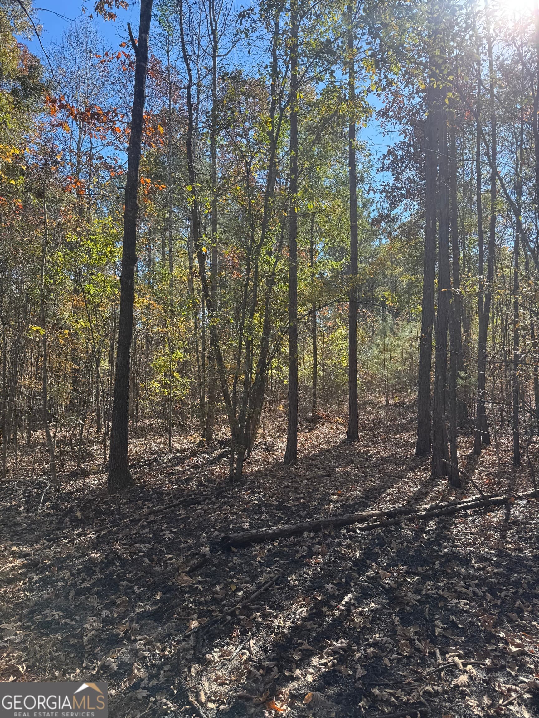 residential lot for sale at 157 W Drummond Road, West Point, GA 31833 — photo 7