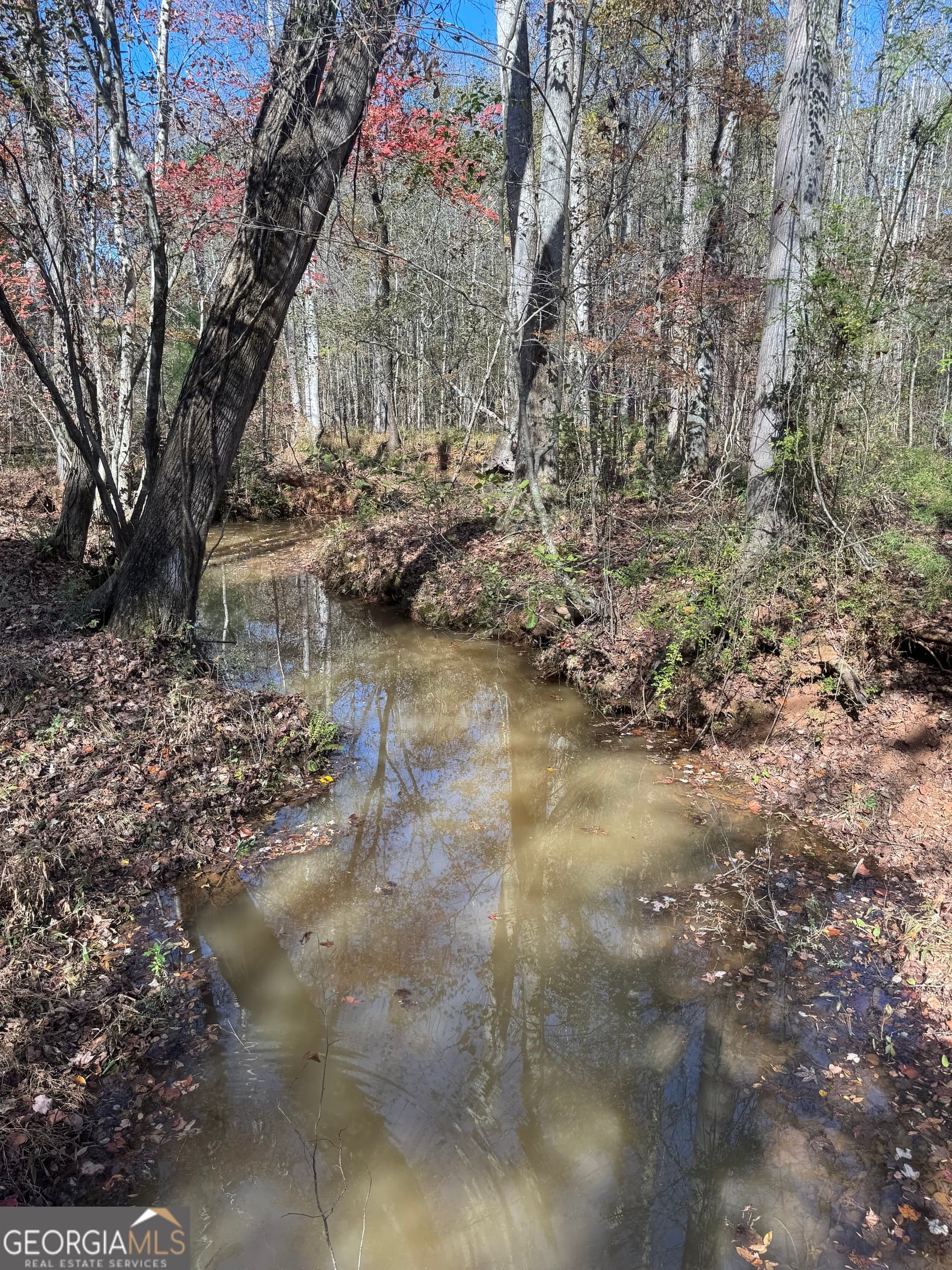 residential lot for sale at 157 W Drummond Road, West Point, GA 31833 — photo 3