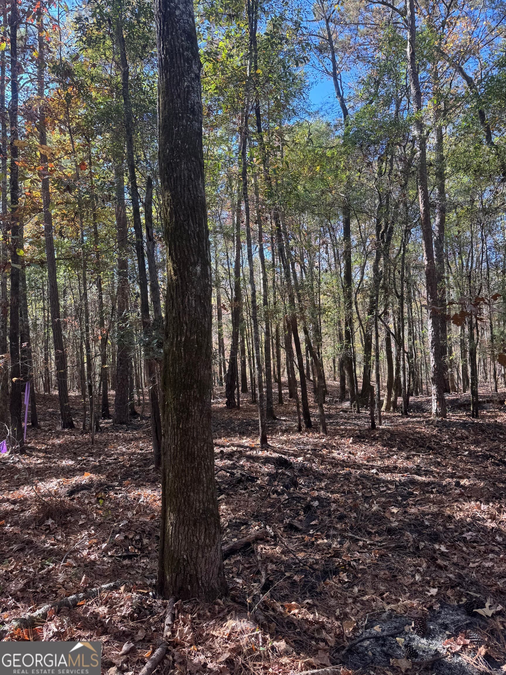 residential lot for sale at 157 W Drummond Road, West Point, GA 31833 — photo 1 of 8