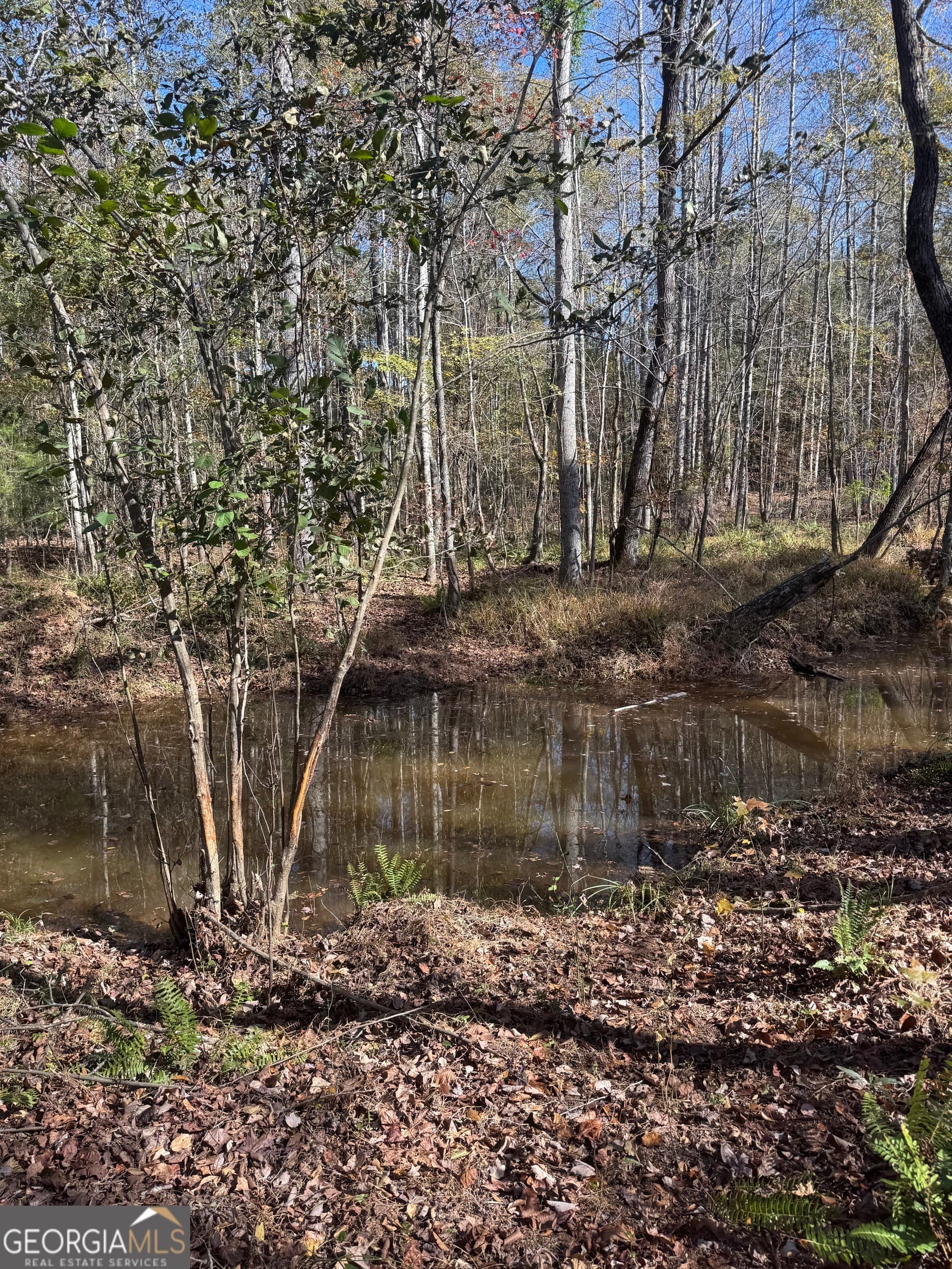 residential lot for sale at 157 W Drummond Road, West Point, GA 31833 — photo 5